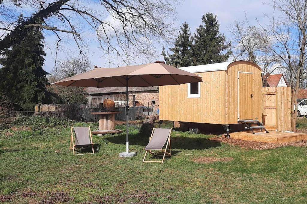 Zirkuswagen Glamping Fuer 2 Mit Veranda Kueche Netflix Parken Und Hofladen Steinhofel Exteriör bild
